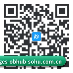 iPadOS & iOS 版 二维码